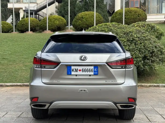 Lexus RX 2020 Model Facelift 300 2WD Elite Edition – фото 6