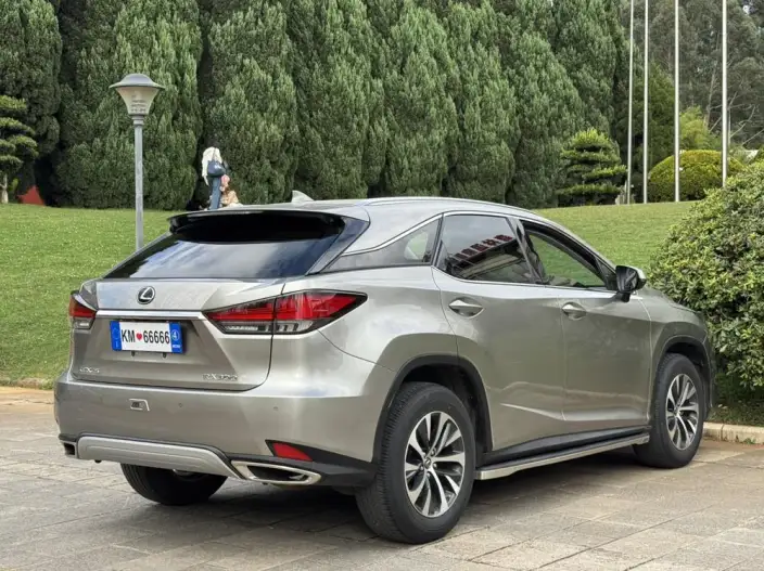 Lexus RX 2020 Model Facelift 300 2WD Elite Edition – фото 7