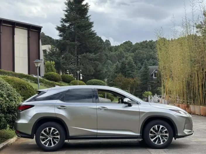 Lexus RX 2020 Model Facelift 300 2WD Elite Edition – фото 8