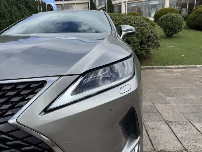 Lexus RX 2020 Model Facelift 300 2WD Elite Edition – фото 9
