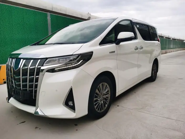 Elfa 2021 Model Hybrid 2.5L Premium Edition – фото 1