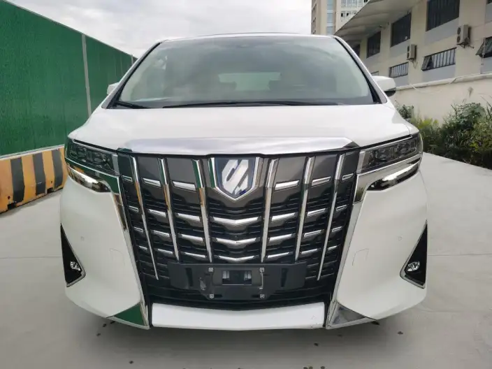 Elfa 2021 Model Hybrid 2.5L Premium Edition – фото 2