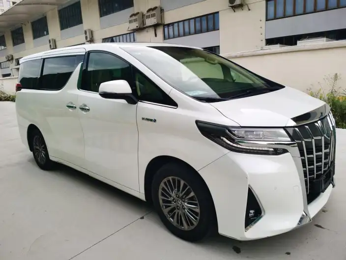 Elfa 2021 Model Hybrid 2.5L Premium Edition – фото 3