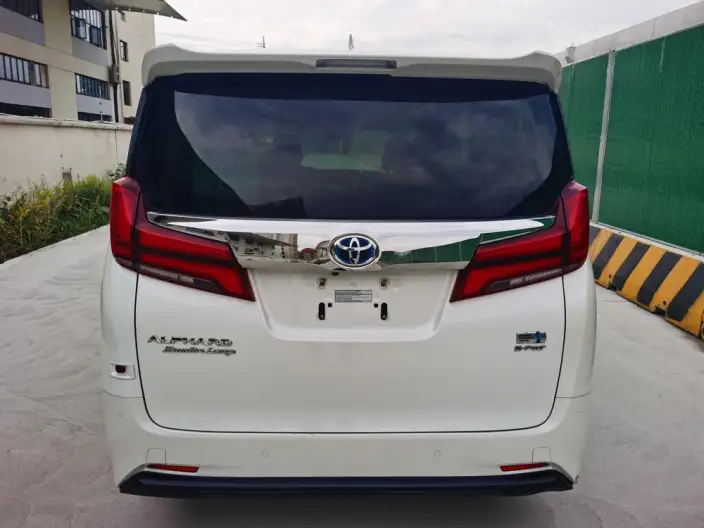 Elfa 2021 Model Hybrid 2.5L Premium Edition – фото 6