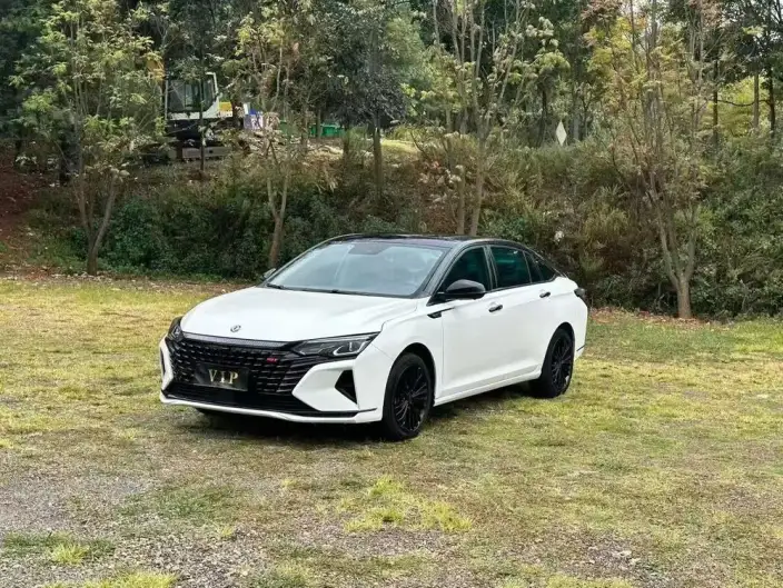 Yixuan Max 2021 Model 1.5T Super Spicy Dad Edition – фото 1