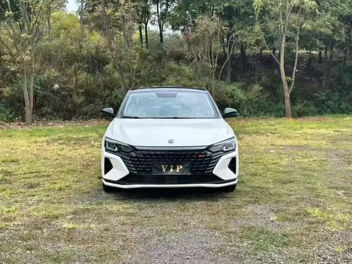 Yixuan Max 2021 Model 1.5T Super Spicy Dad Edition – фото 2
