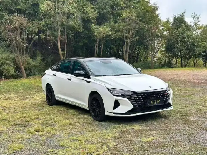 Yixuan Max 2021 Model 1.5T Super Spicy Dad Edition – фото 3