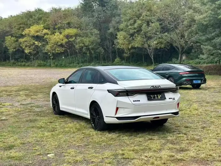Yixuan Max 2021 Model 1.5T Super Spicy Dad Edition – фото 4