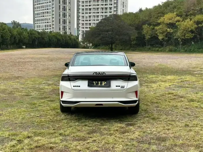 Yixuan Max 2021 Model 1.5T Super Spicy Dad Edition – фото 5