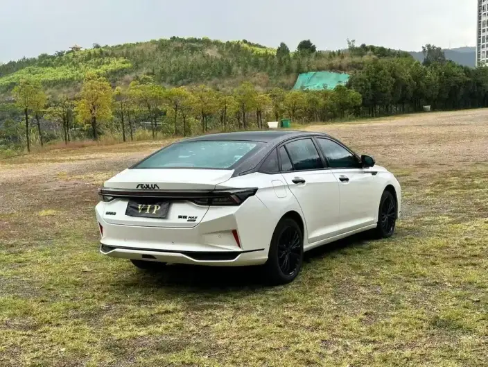 Yixuan Max 2021 Model 1.5T Super Spicy Dad Edition – фото 6