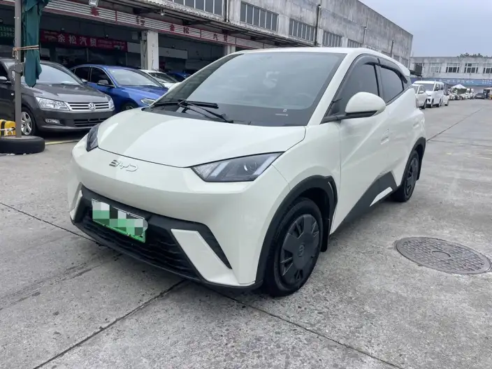 BYD Seagull 2025 Model 305KM Vitality Edition