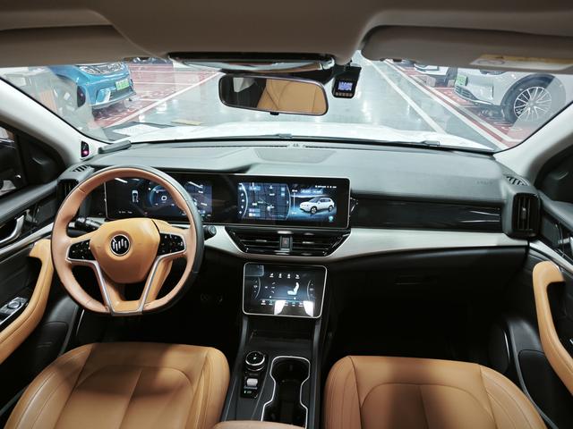 Weltmeister W6 Модель 2021 года 520km PRO Quan энергия Edition