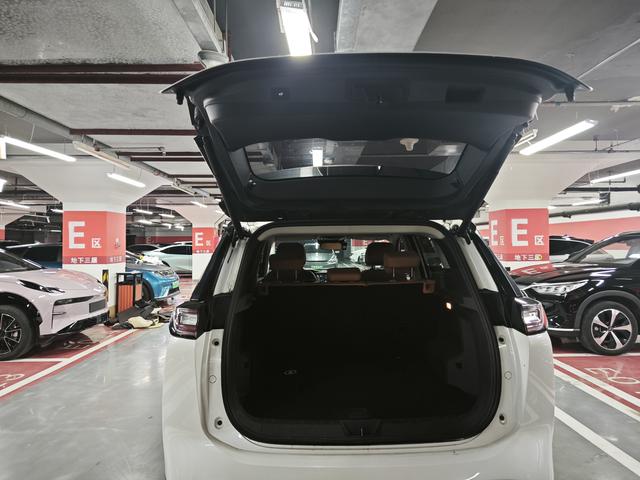 Weltmeister W6 Модель 2021 года 520km PRO Quan энергия Edition