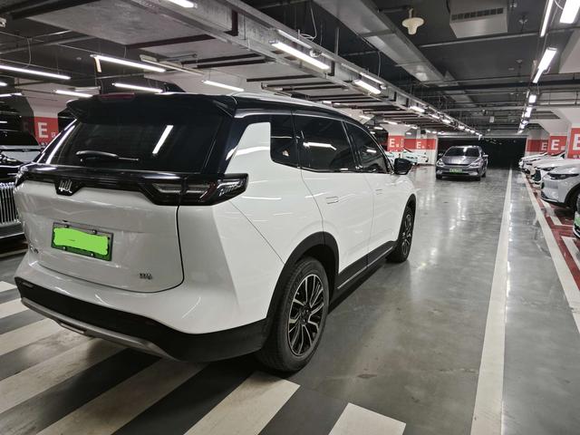 Weltmeister W6 Модель 2021 года 520km PRO Quan энергия Edition – фото 9