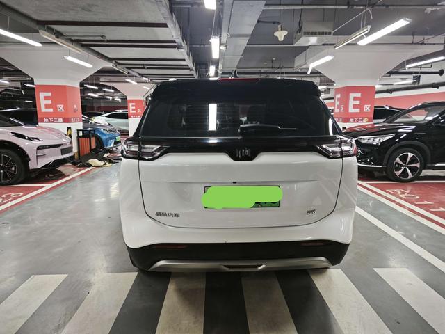 Weltmeister W6 Модель 2021 года 520km PRO Quan энергия Edition – фото 10