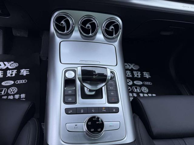Denza X PHEV Модель 2020 года 2.0T Ultimate Edition – фото 8