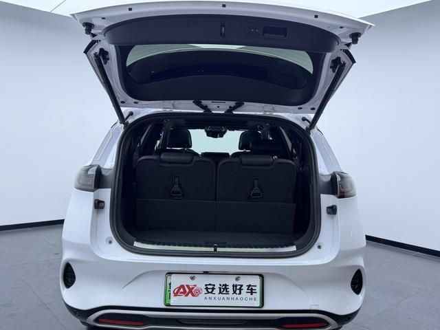 Denza X PHEV Модель 2020 года 2.0T Ultimate Edition – фото 15