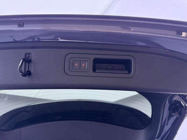 Denza X PHEV Модель 2020 года 2.0T Ultimate Edition – фото 14