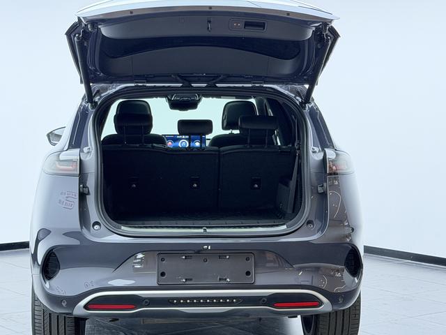 Denza X PHEV Модель 2020 года 2.0T Ultimate Edition – фото 15