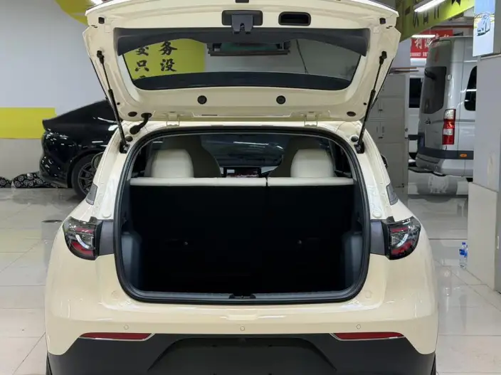 Geely Galaxy StarWish 2025 Model 410km Free Edition – фото 9