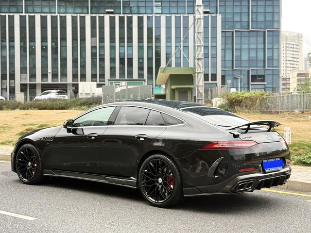 AMG GT Модель 2019 года AMG GT 50 Four-door sports car – фото 7
