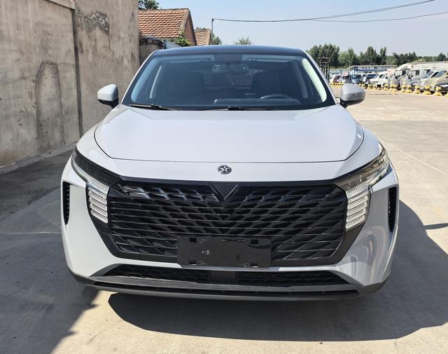 Venucia Big V 2022 260T King Edition – фото 2