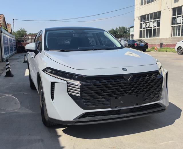 Venucia Big V 2022 260T King Edition – фото 3