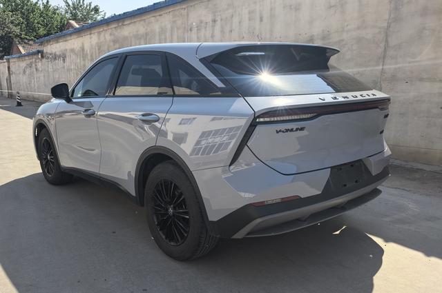 Venucia Big V 2022 260T King Edition – фото 4