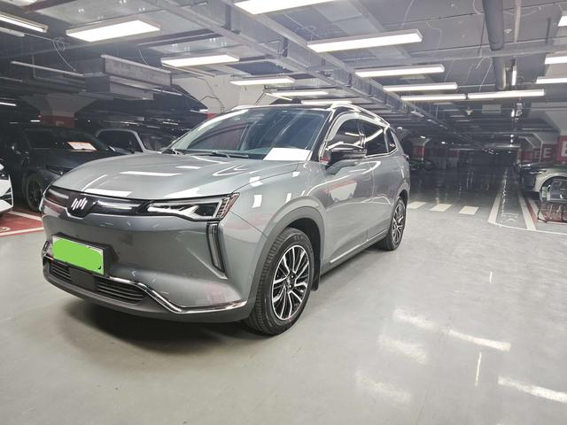 Weltmeister W6 Модель 2021 года 520km ACE Extreme Wisdom Edition