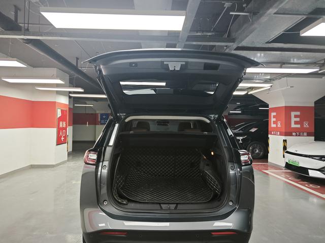 Weltmeister W6 Модель 2021 года 520km ACE Extreme Wisdom Edition
