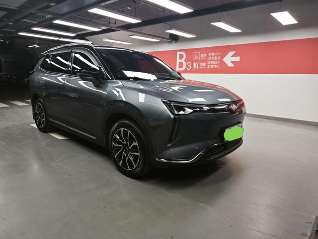 Weltmeister W6 Модель 2021 года 520km ACE Extreme Wisdom Edition