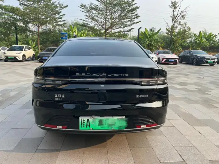 BYD Destroyer 05 2024 Model Honor Edition DM-i 55KM Luxury Model – фото 5