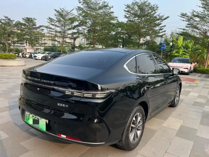 BYD Destroyer 05 2024 Model Honor Edition DM-i 55KM Luxury Model – фото 6