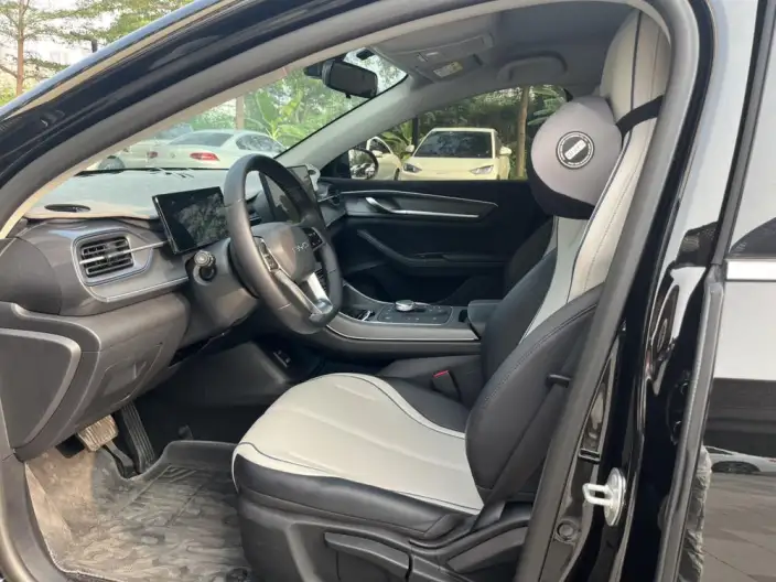 BYD Destroyer 05 2024 Model Honor Edition DM-i 55KM Luxury Model – фото 9