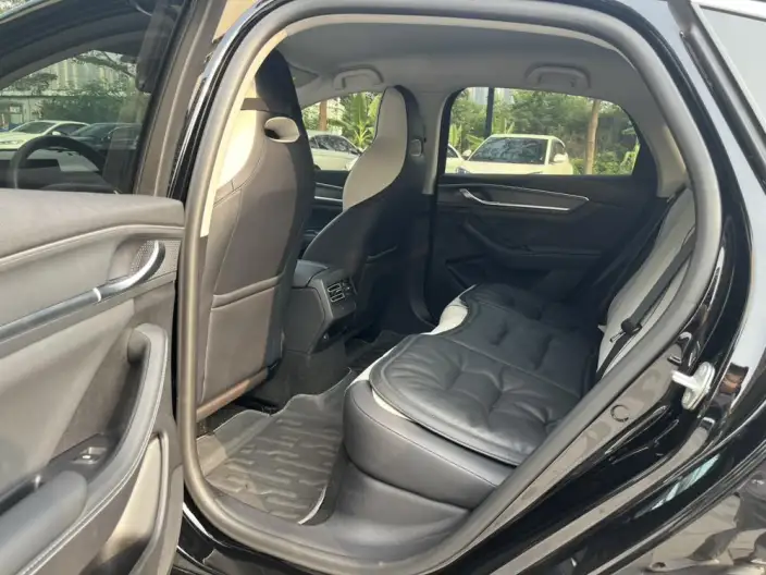 BYD Destroyer 05 2024 Model Honor Edition DM-i 55KM Luxury Model – фото 10