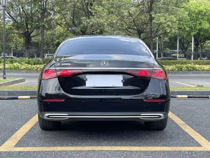 Mercedes-Benz E-Class 2025 Model Facelift E 300 L Luxury Model sedan – фото 6