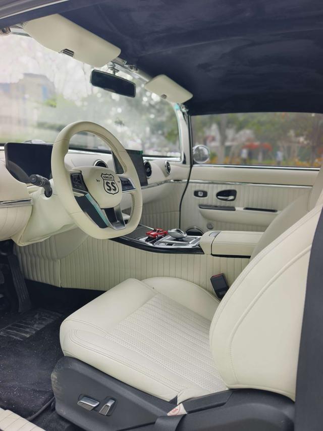 SS Dolphin Модель 2020 года 1.5T Plug-in hybrid Standard type – фото 4