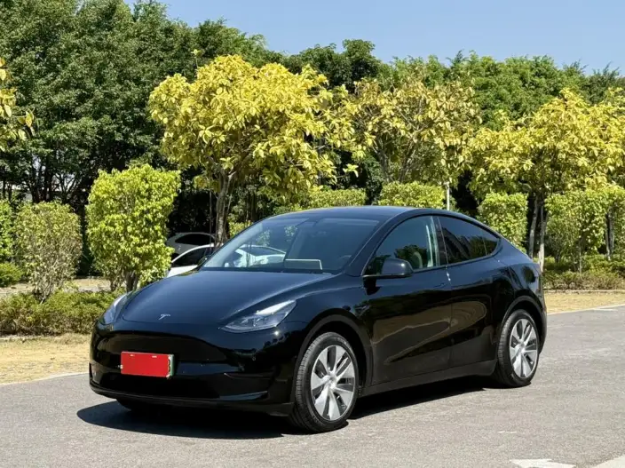 Model Y 2022 Model Facelift Rear-wheel drive version