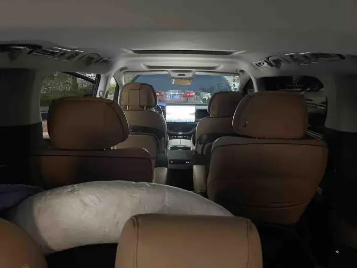 DENZA D9 DM 2024 Model 980 4WD Noble Model – фото 8