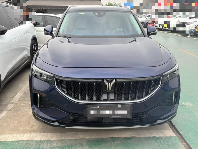 VOYAH FREE 2021 AWD Standard Extended-Range Exclusive Luxury Pack
