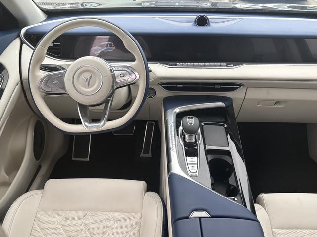 VOYAH FREE 2021 AWD Standard Extended-Range Exclusive Luxury Pack – фото 9