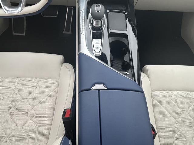 VOYAH FREE 2021 AWD Standard Extended-Range Exclusive Luxury Pack – фото 10