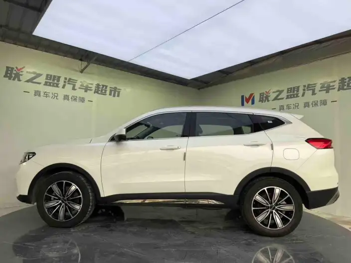 Haval H6 2023 Model Guo Trendy Edition 1.5T Automatic Champion Edition