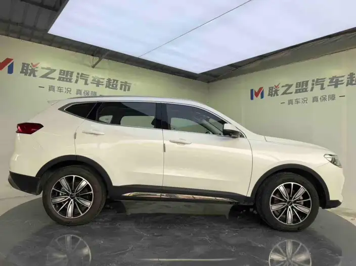 Haval H6 2023 Model Guo Trendy Edition 1.5T Automatic Champion Edition – фото 8