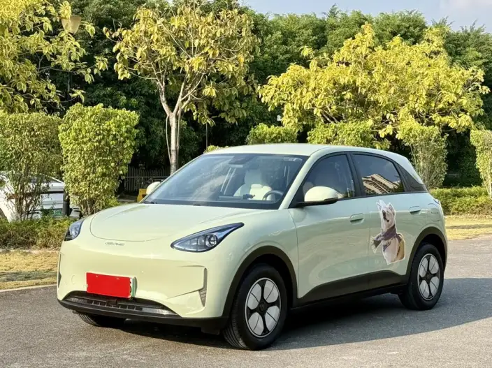 Geely Galaxy StarWish 2025 Model 310km Youth Edition – фото 1