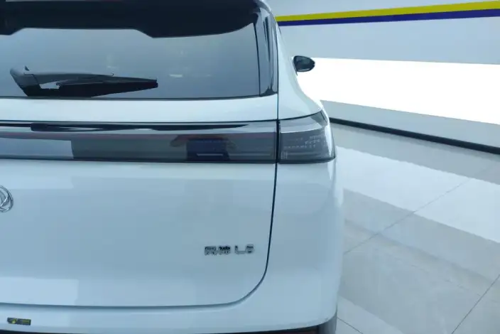 Dongfeng Aeolus Fengsheng L8 PHEV 2025 Model 112KM Ideal Edition – фото 10