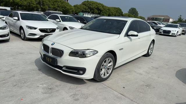 BMW 5 Series 2013 модификация 520Li Elegance – фото 1