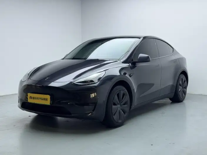 Model Y 2024 Model Rear-wheel drive version – фото 1