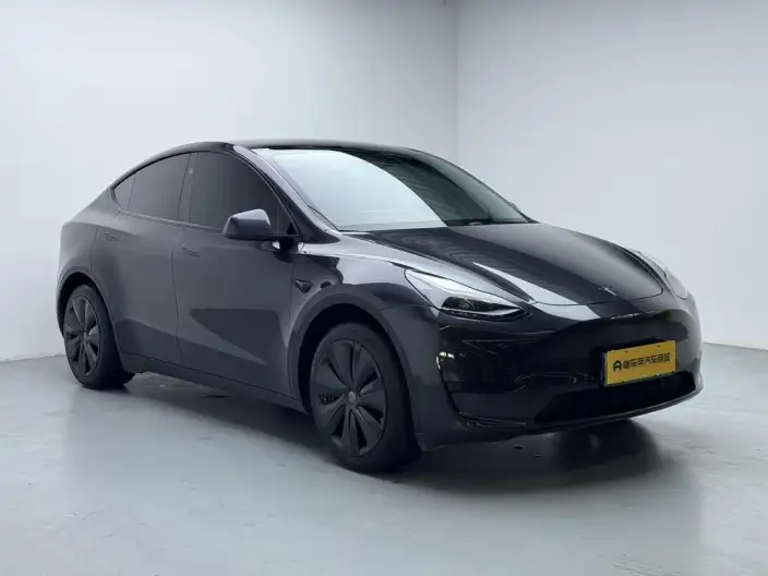 Model Y 2024 Model Rear-wheel drive version – фото 3