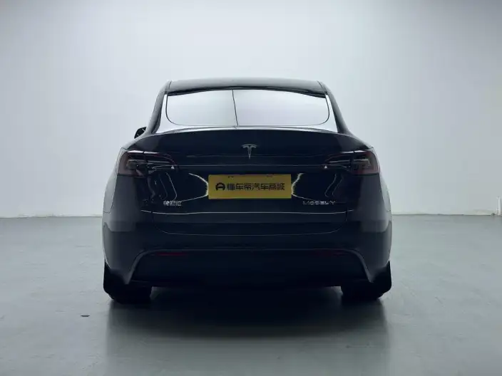 Model Y 2024 Model Rear-wheel drive version – фото 6